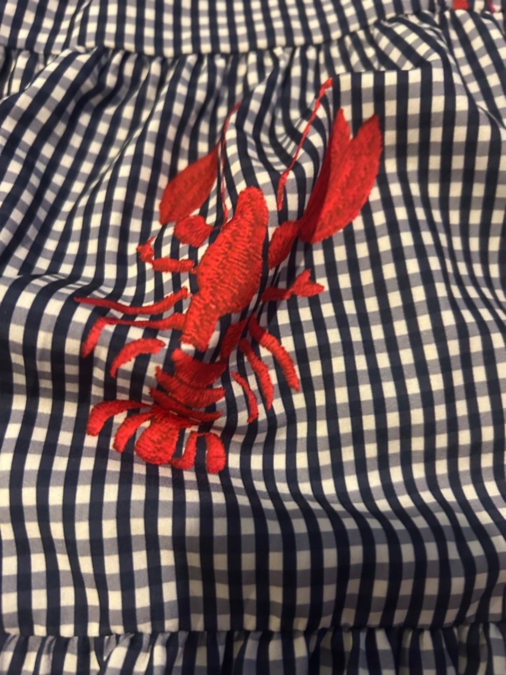 Navy Gingham Dress with Red  Lobsters - Picture 4 of 7